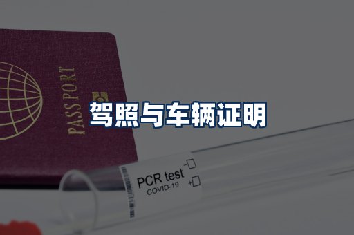 车辆证明展示